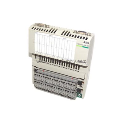 170BAM09600 | Schneider 4-20 mA Modicon Momentum I/O Module